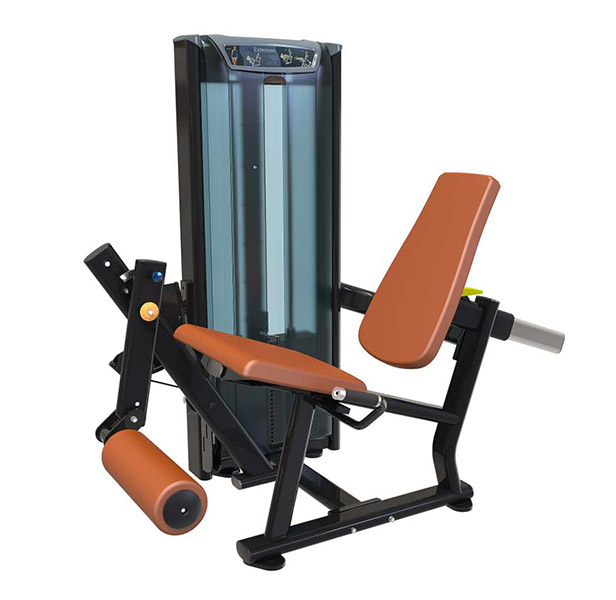 Seated Leg Extension 