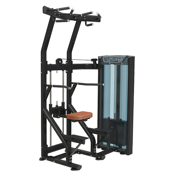Assisted Chin Up/Dip