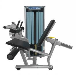 Leg Extension and Leg Curl