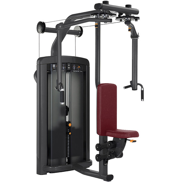 Pectoral Fly/Rear Deltoid