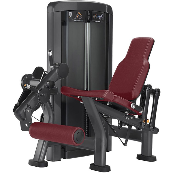 Leg Extension