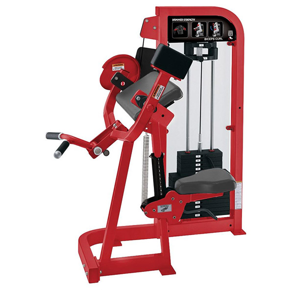 Biceps Curl