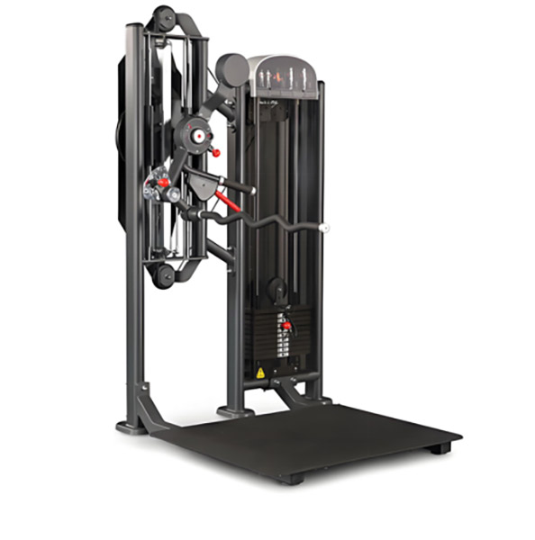 Standing dual-function trainer