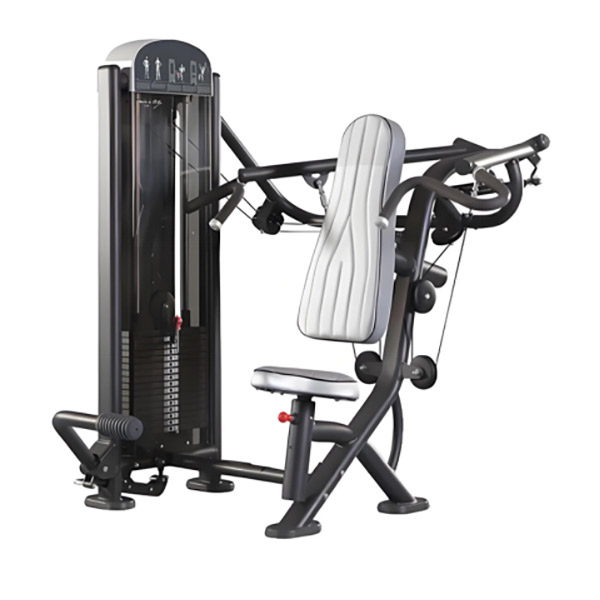 Steated Chest Press