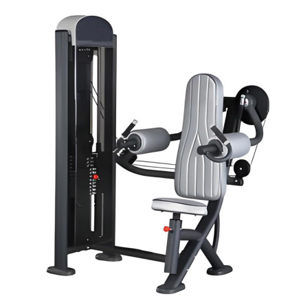 Lateral Raise