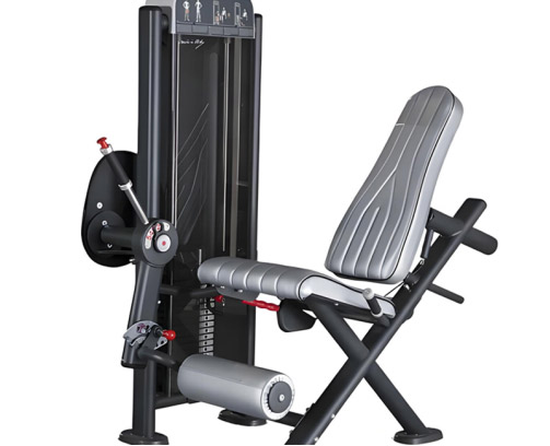  Seated Leg Extension