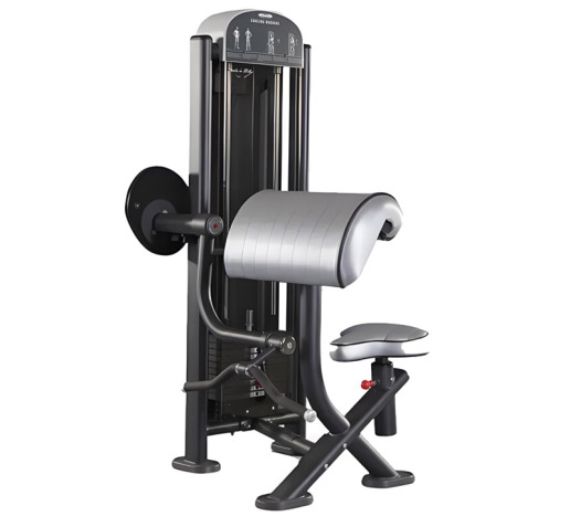 Biceps Curl