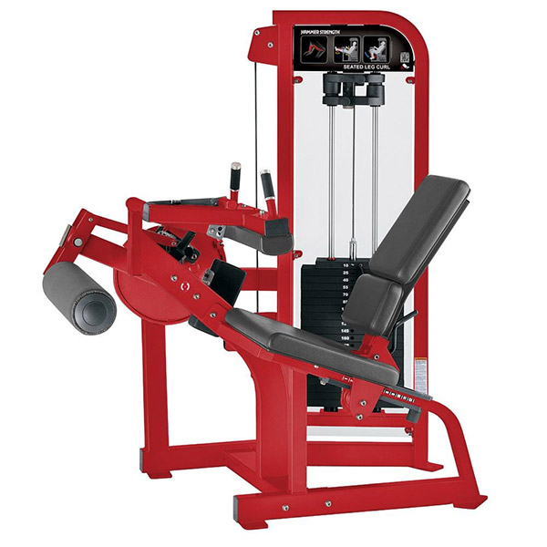 Seated Leg Curl