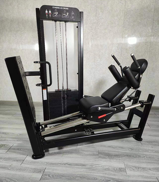 Hack squat/Horizontal Leg Press