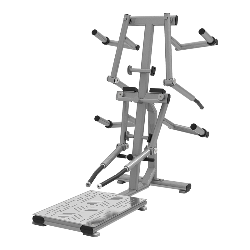 Lateral Raise 