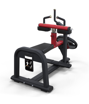 Calf Raise