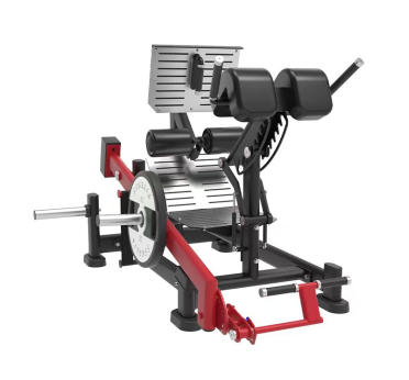 Bi-Directional 45° Hip Extension Trainer